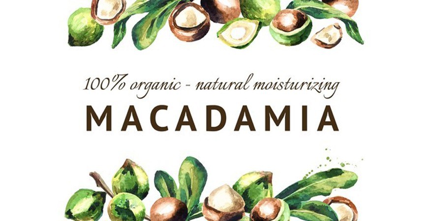 Macadamia oil for face skin